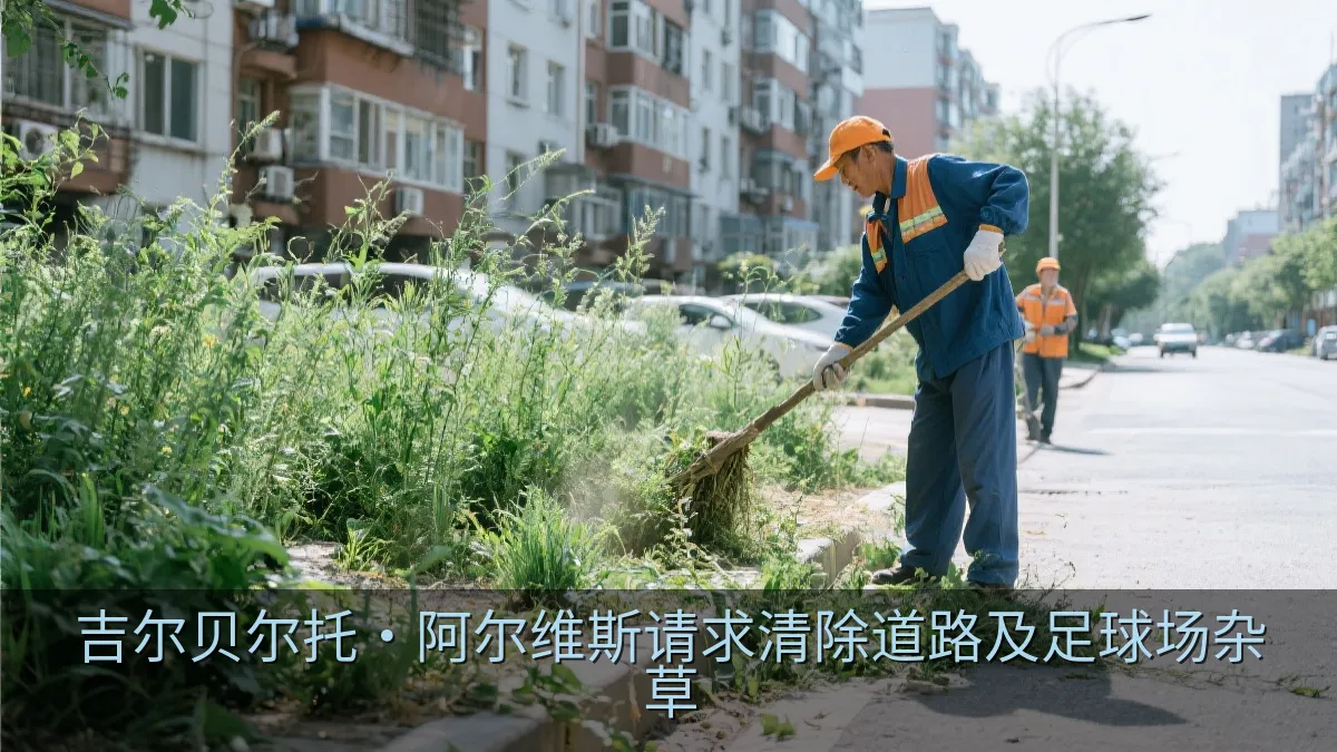 吉尔贝尔托·阿尔维斯请求清除道路及足球场杂草